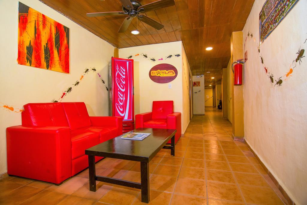 Hotel El Hormiguero Playa del Carmen Bagian luar foto