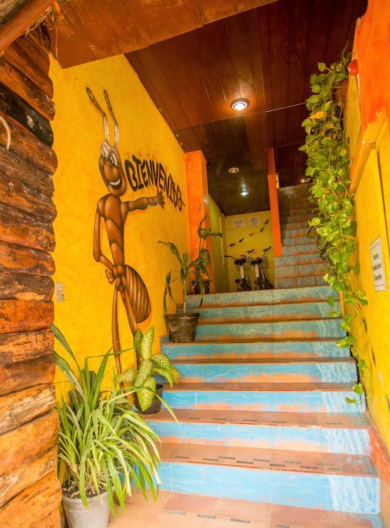 Hotel El Hormiguero Playa del Carmen Bagian luar foto