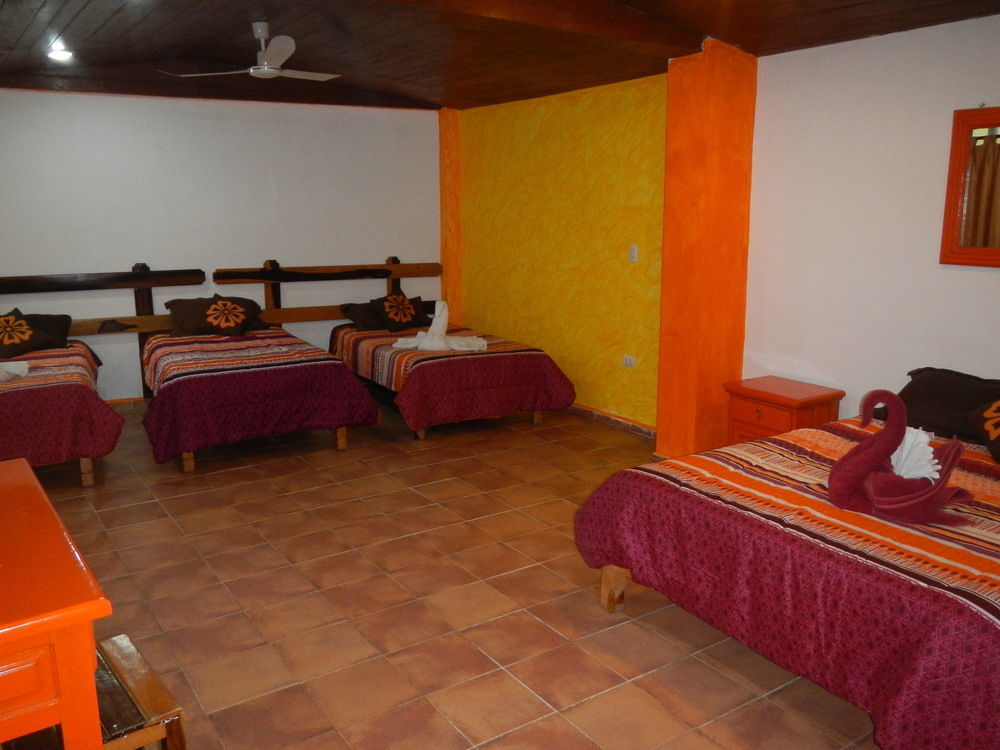 Hotel El Hormiguero Playa del Carmen Bagian luar foto