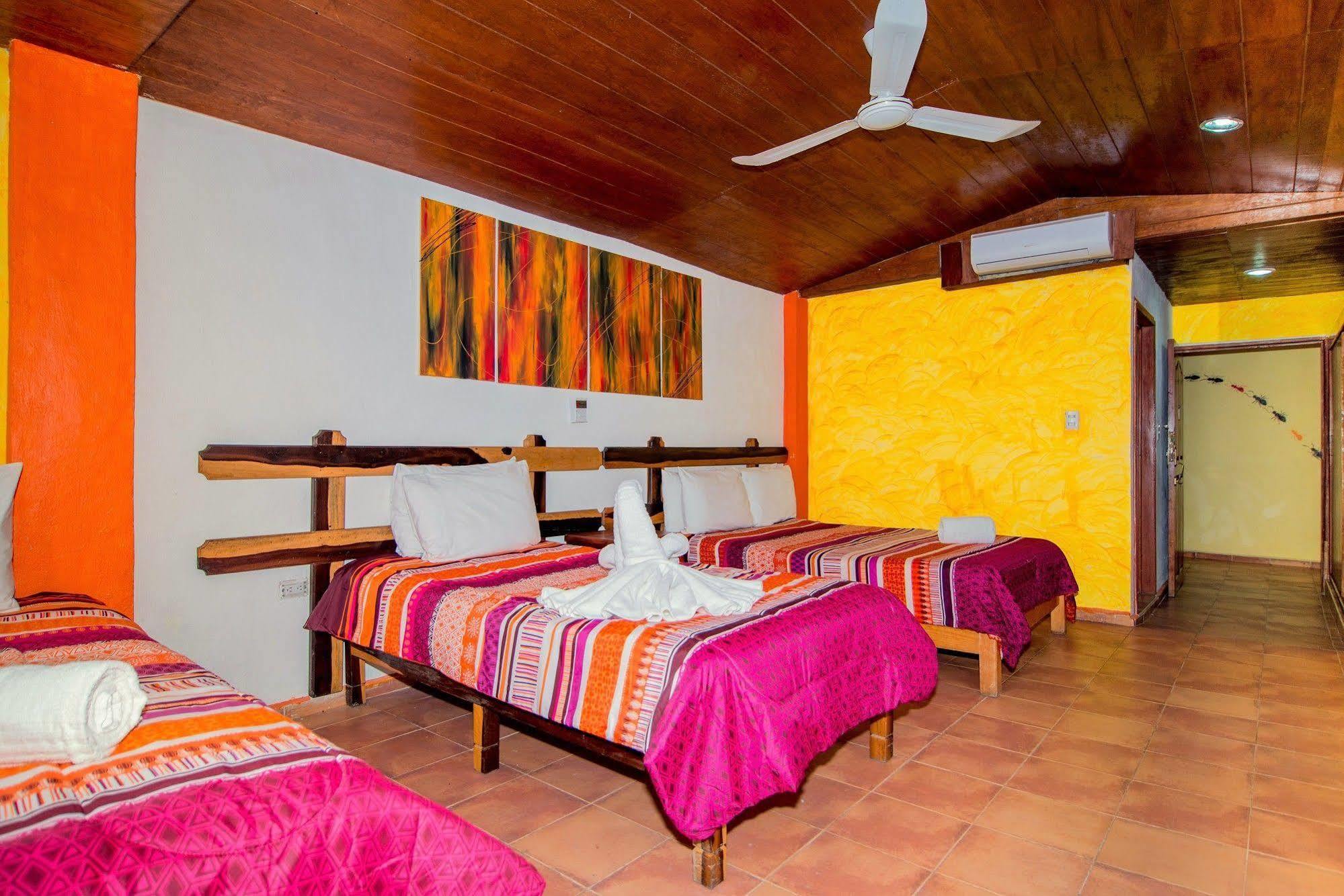 Hotel El Hormiguero Playa del Carmen Bagian luar foto